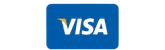 visa pay footer logo